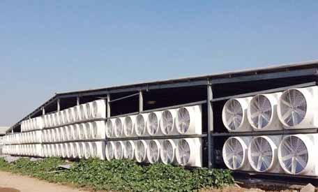 工业冷风机漏水 工业冷风机漏水