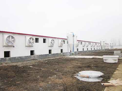 胶州负压风机噪音 胶州负压风机噪音